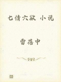 七情六欲 小说